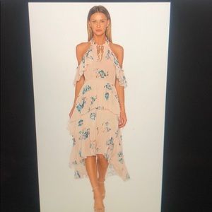 Ulla Johnson valentine dress new with tags